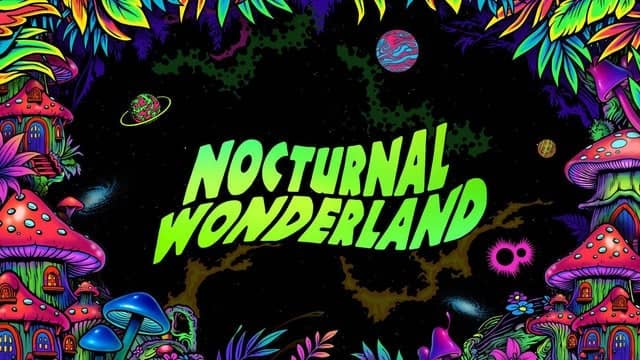Nocturnal Wonderland