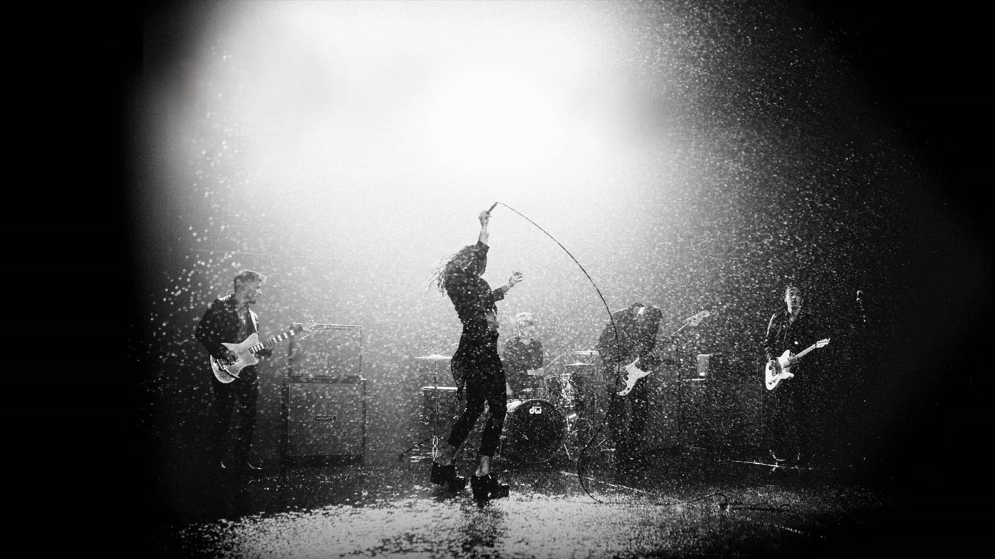 Marmozets